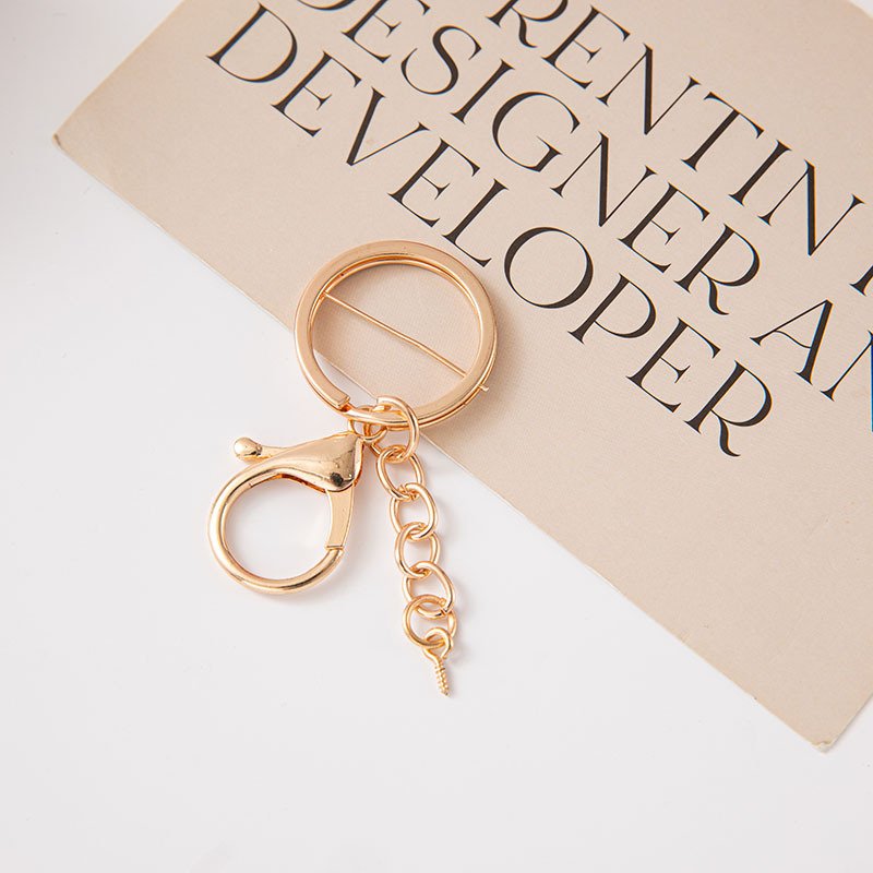 主图-03 Wholesale Manufacturer's Three-Piece Set Light Gold Zinc Alloy Lobster Clasp Chain Metal Key Ring Special Bag Parts Accessories - Image 3